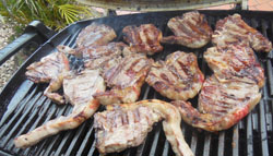 Barbequed Lamb Chops